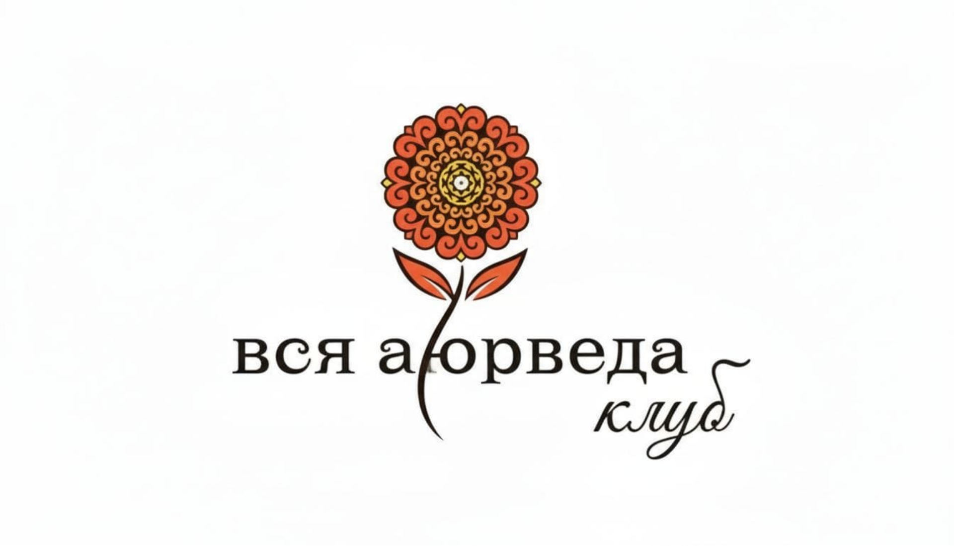 Описание изображения