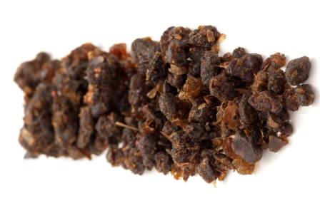 Гуггул (Commiphora Mukul)