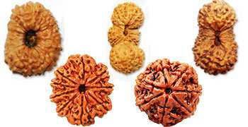 2516939270 (1).jpg 2516939270 (1).jpg