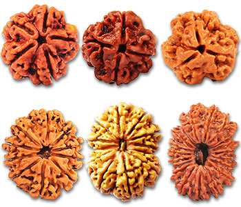 3329642206 (1).jpg 3329642206 (1).jpg