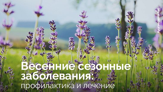 Весенние сезонные заболевания: профилактика и лечение