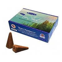 Благовония-конусы RAIN FOREST Backflow Dhoop Cones 10 шт., SATYA