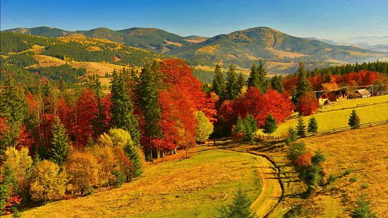 СЕЗОННЫЕ ИЗМЕНЕНИЯ