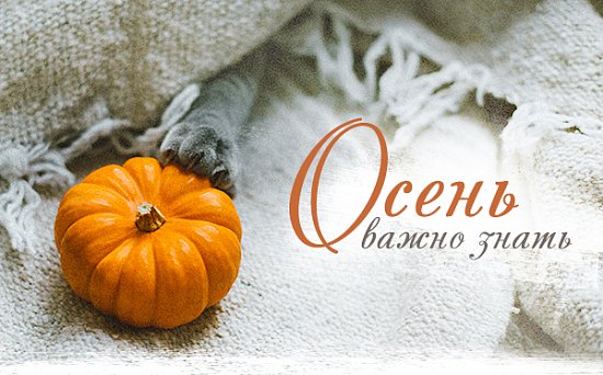 ОСЕНЬ. Секреты Аюрведы