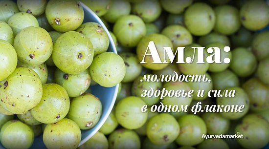 АМЛА: молодость, здоровье и сила в одном флаконе