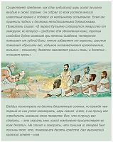 Порошок Ним (Neem Powder) 100 г, Indibird