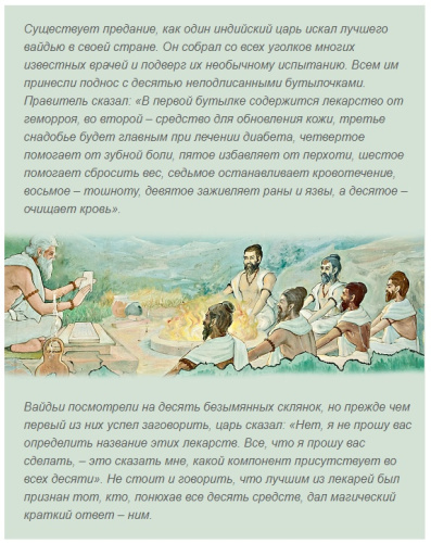 Порошок Ним (Neem Powder) 100 г, Indibird