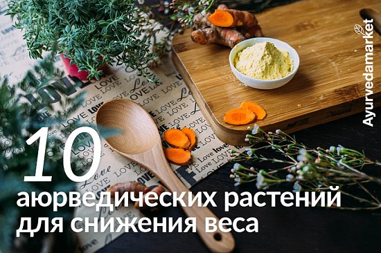 10 аюрведических растений для снижения веса