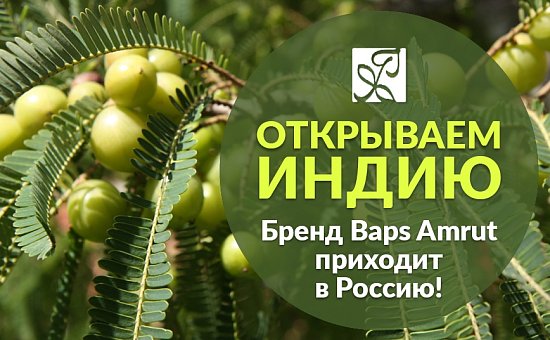 Производство Baps Amrut