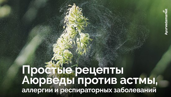Несколько простых рецептов Аюрведы против астмы, аллергии и респираторных заболеваний
