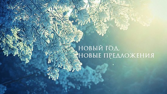 Новый год. Новые предложения