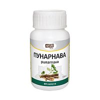 Пунарнава (Punarnava) 60 капс., Ayur Plus