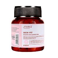 Скин-фит (Skin-Fit) - здоровая и сияющая кожа / 60 табл., Jiva Ayurvedic Pharmacy