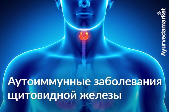 Аутоиммунные заболевания щитовидной железы: гипотиреоз и гипертиреоз с точки зрения Аюрведы