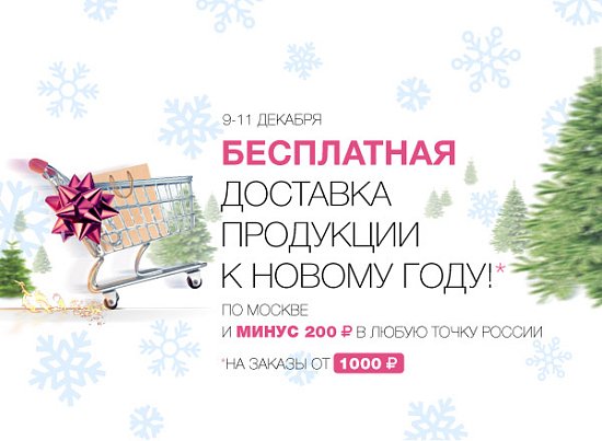 3 дня бесплатной доставки полезной продукции к Новому году