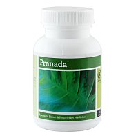 Пранада (Pranada) - при анемии, восстанавливает уровень эритроцитов / 100 табл., Bipha