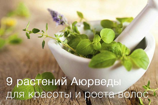 9 растений Аюрведы для красоты и роста волос